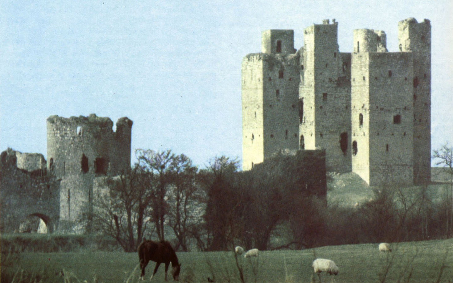 Trim Castle